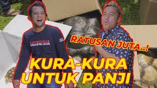 FINALLY..! BIGGEST TORTOISE FOR PANJI PETUALANG, which one do you get?