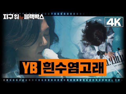 [지구 위 블랙박스 4K] <strong>YB</strong>-<strong>흰수염고래</strong> | KBS 231009 방송