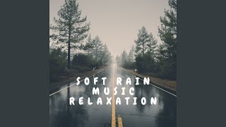 Rainfall Echoes of Tranquility