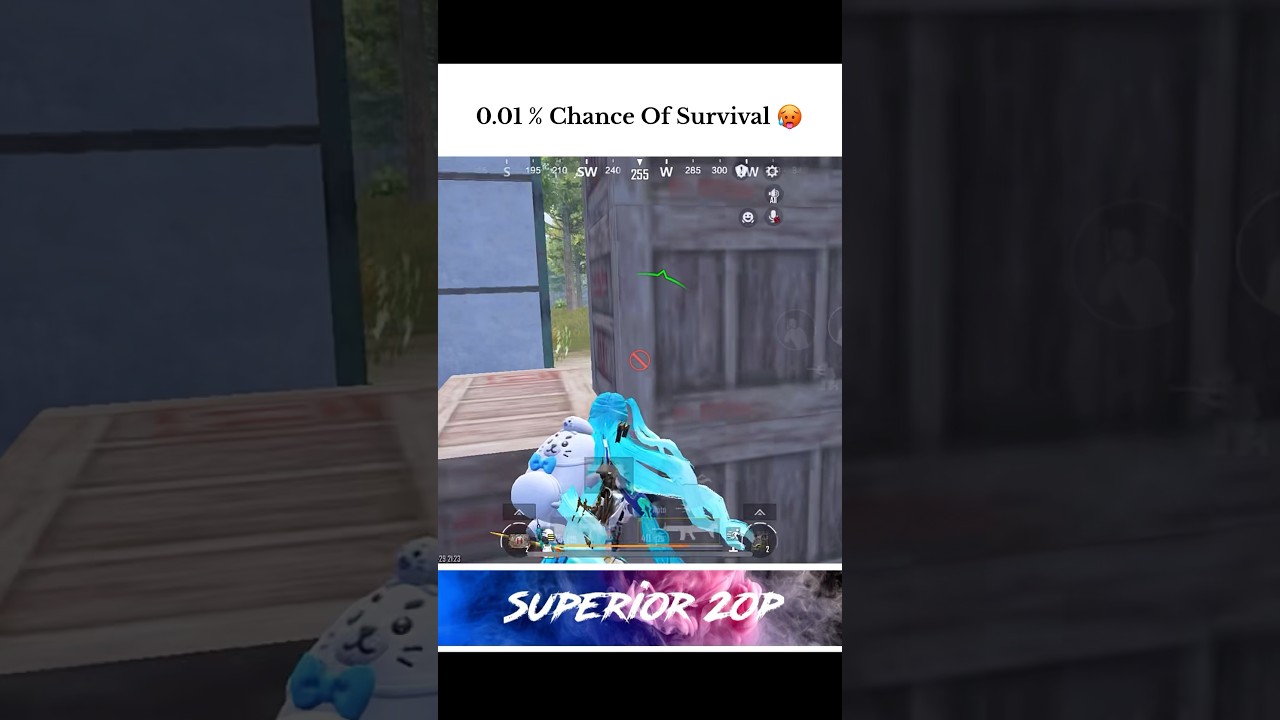 Rarest Survival in Solo Conqueror Lobby 🥵