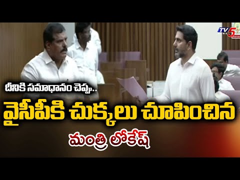 దీనికి సమాధానం చెప్పు..|  AP Minister Nara LOkesh Fires On YSRCP Leaders | Tv5 News - TV5NEWS