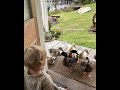 my DREAM job 🥹 #mom #whimsical #dreamjob