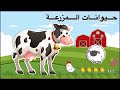 حيوانات المزرعة للاطفال ماذا تعرف عن حيوانات المزرعة 