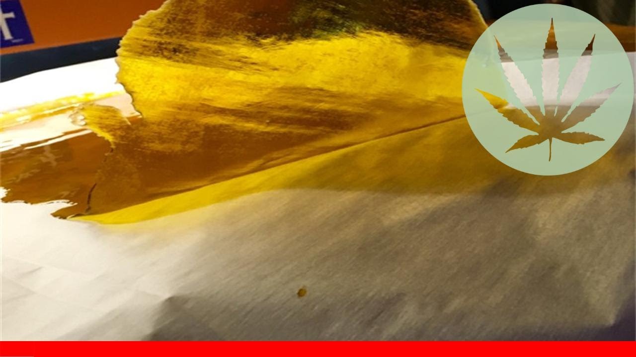 Pineapple Purps - All About This Strain