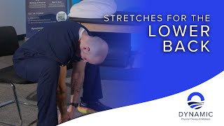 Stretches for the Lower Back