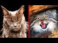 Les 10 Races de Chats Les Plus Dangereuses au Monde