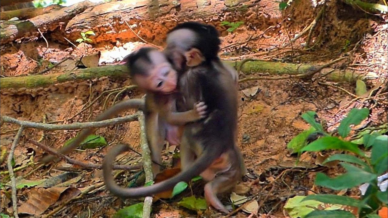 Side by Side — Braxton and Maxwell’s Sweetest Moments,