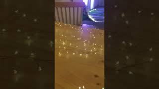 Warm White Micro-LED Fairy Firecracker String Lights