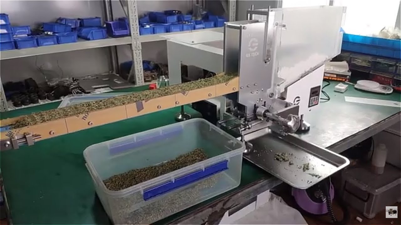 Hemp Cannabis Marijuana cigar machine full automatic 