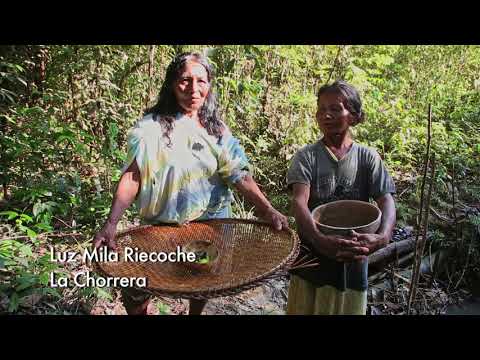 El origen de la abundancia El origen de la abundancia