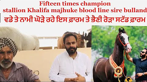Interview with young horse man Jagpreet singh grew...