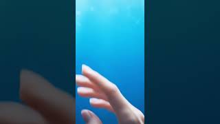 Golden Tiny Seahorse