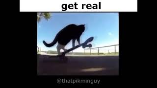 remix 8  get real cats (full)