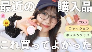 【購入品】これは当たりすぎた…🥹☁️