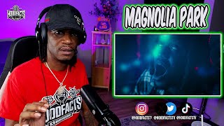 HoodFacts TV Reacts to | Magnolia Park PLVTINUM & Ethan Ross - Animal