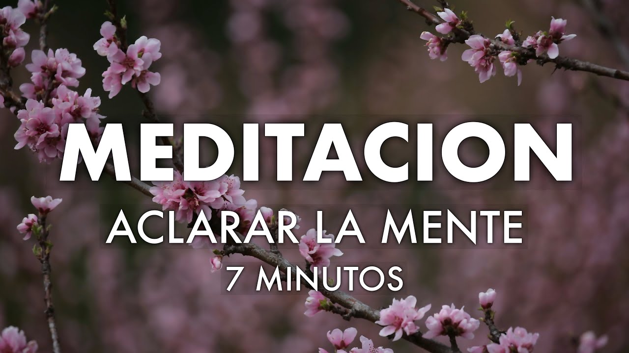 MEDITACION GUIADA - Aclara Tu Mente Y Relaja Tu Cuerpo 🦋 | Obtén Un Día ...