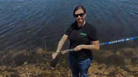 Pond Sampling Procedure