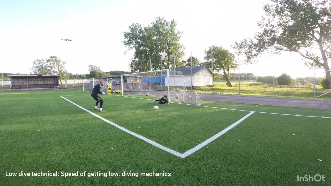 GOALKEEPER TRAINING | LOW DIVING TECHNICAL & PLYOMETRICS | LINDOME GIF GK UNION | 