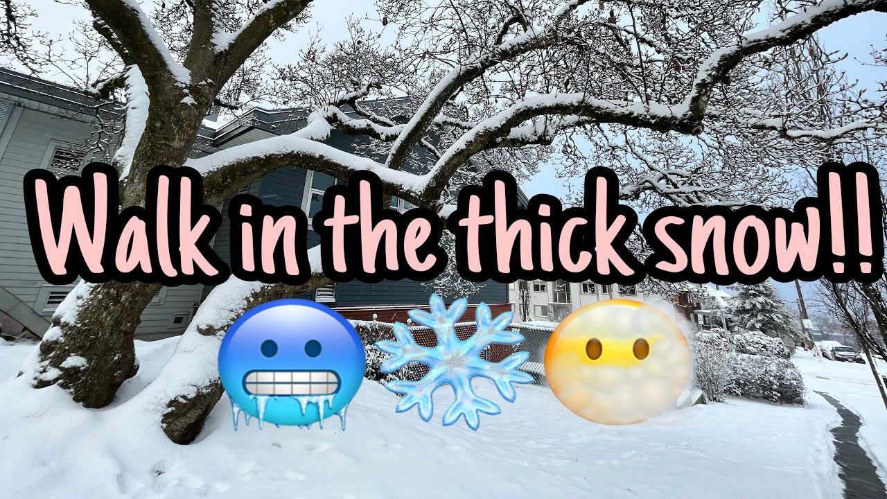 VANCOUVER WINTER WALK IN SNOW | NEW WESTMINSTER AREA CARNARVON TO COLUMBIA STATION | DAY & NIGHT