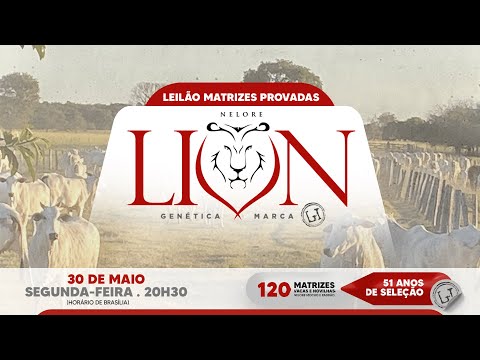 LOTE 09