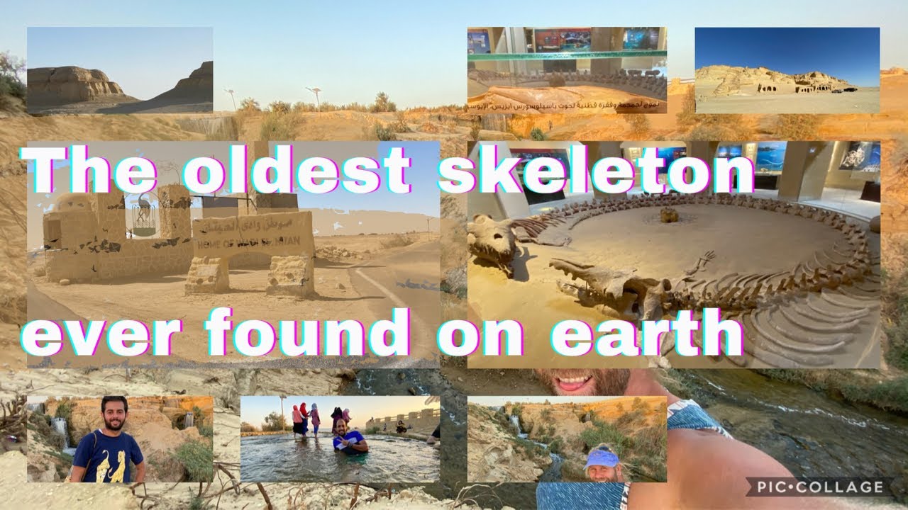 Full Trip around Wadi El Hitan, Egypt in a dilapidated vehicle. Famous ancient site with a waterfall