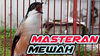 MASTERAN CENDET FULL ISIAN MEWAH MASTERAN CENDET TROTOL