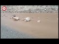 شارەوانی دەربەندیخان ڕێگاوبانەکانی دەربەندیخان پاک دەکاتەوە