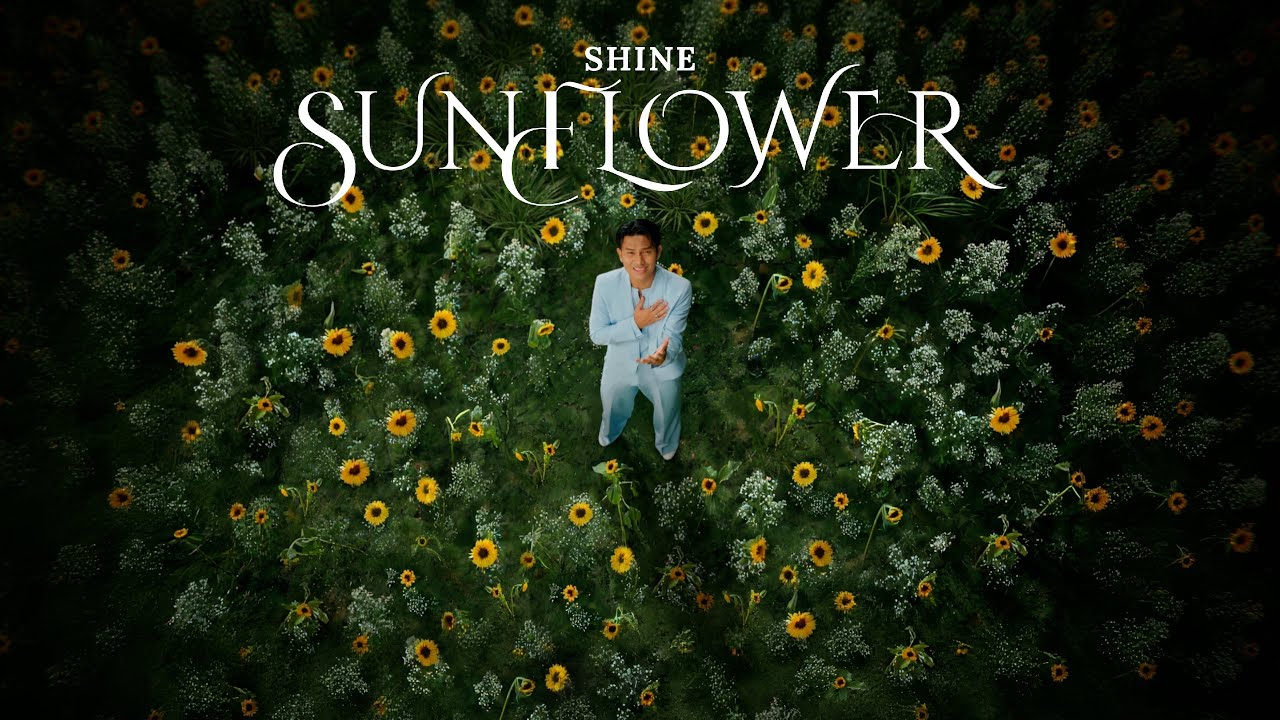 SHINE - Sunflower [ 𝐎𝐟𝐟𝐢𝐜𝐢𝐚𝐥 𝐌𝐮𝐬𝐢𝐜 𝐕𝐢𝐝𝐞𝐨 ]
