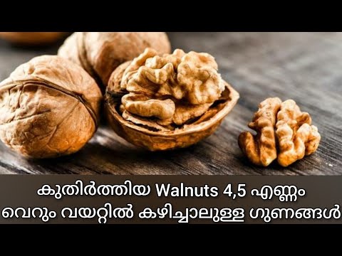 ദിവസവും വാൾനട്സ് കഴിച്ചാൽ - Top Health Benefits of Walnuts - Malayalam - Isha&rsquo;s World