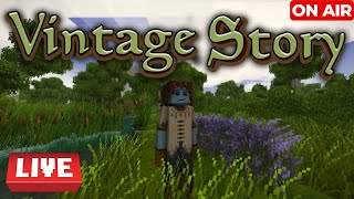 🔴VOGLIO L'ARMATURA DI RAME SU VINTAGE STORY! Parte 2