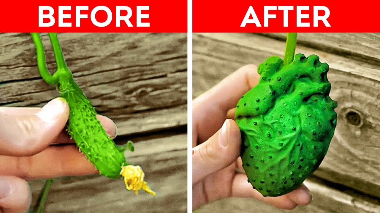 Genius Gardening Hacks You Wish You Knew Before