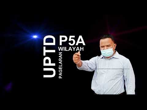 Mars Posyandu Kabupaten Cianjur