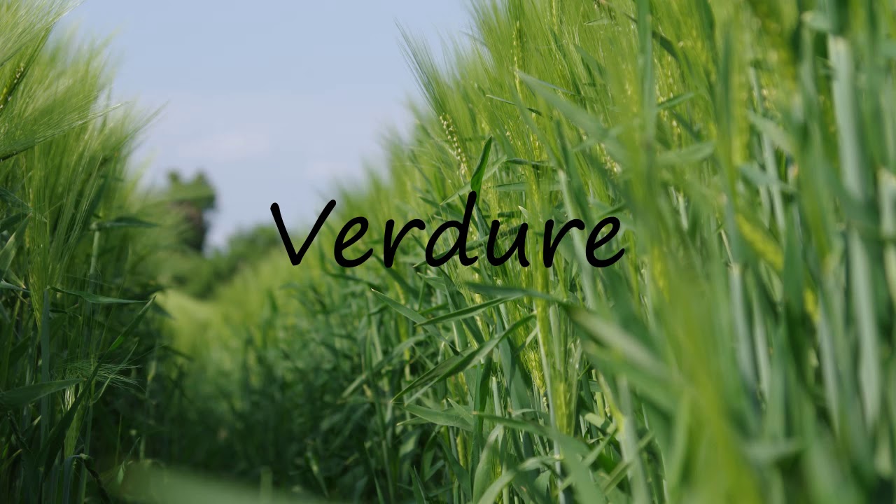 How to Pronounce Verdure? YouTube