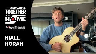 Niall Horan Performs \