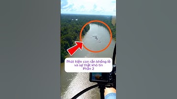 [P.2] Phát hiện con rắn khổng lồ và sự thật khó tin #shorts