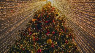 All For Christmas - The Noel 🎄 Christmas song