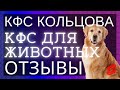 🔥КФС «ИСЦЕЛЕНИЕ 2», № 10, Собака Айви 10 лет▫️ Отзывы и результаты ▫️ КФС для животных