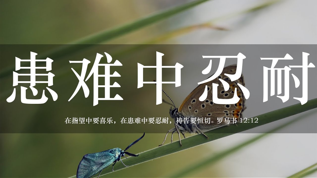 【睡前祷告】患难中忍耐20250524-父啊感谢你教导我们在患难中要忍耐，不管环境多么艰难，我们都是有指望的人，要学会恳切祈求，忍耐等候，在 ...
