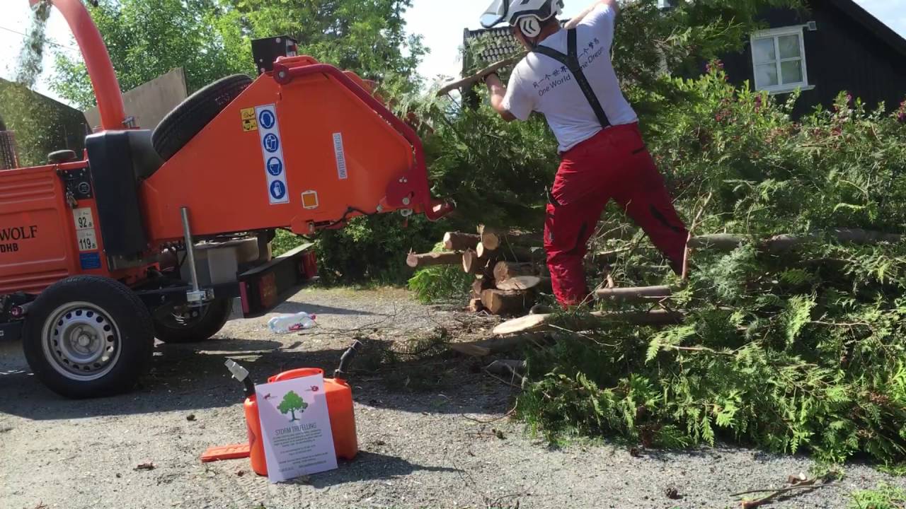 Flishugger, trefelling og stubbefresing