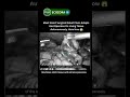 Autonomous Robot Performs Surgery Without Human Hands #medicalrph #medicalrobotics  #shorts #ai