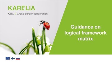 Logical framework matrix