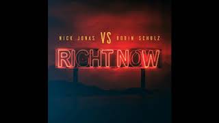 Nick Jonas Robin Schulz  Right Now instrumental