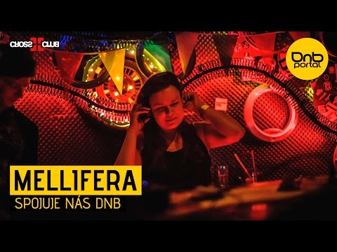Mellifera - Spojuje nás DnB (Vinyl mix) [DnBPortal.com]