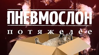 ПНЕВМОСЛОН - «Потяжелее» 11.11.2023 \ LIVE@1930 Moscow