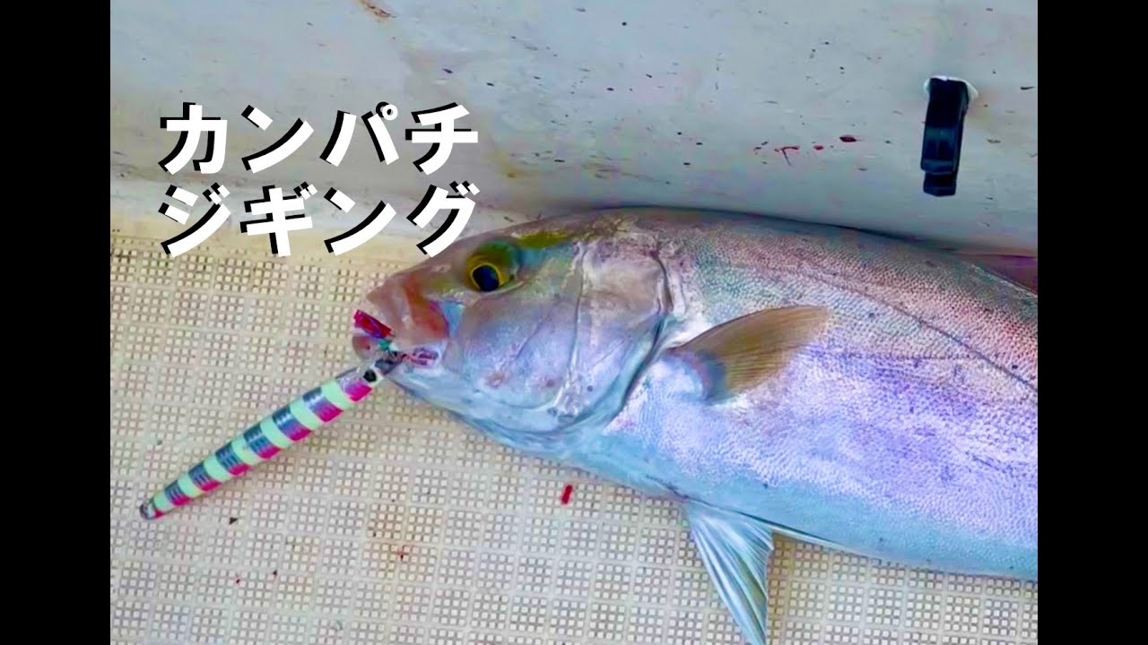 ジギング カンパチ オススメ0gコスパ最高メタルジグ 鹿児島 奄美大島 沖縄 スロージギング Jigging Insta360 One X2 メジャークラフト イカナゴ Youtube