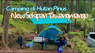 CAMPING KELUARGA DI NEW SEKIPAN TAWANGMAGU | BUKIT SEKIPAN HUTAN PINUS | 4K Video