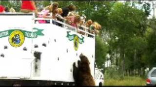 Yellowstone Bear World Enter The Wild