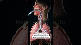 Você sabia? #osce #medicina #saúdemental