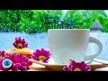Peaceful Morning Piano Music | Start Your Day with Positive Energy