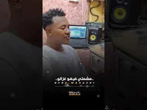 أحمد أبوالقاسم خضر مالو